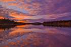 Canada-Ontario-Kenora District Forest autumn colors reflect on Middle Lake at sunrise Art Print